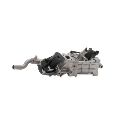 Afbeelding van DRI EGR klep 717730316