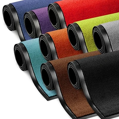 Afbeelding van etm ColorLine Deurmat voor hal, voordeur, entree, verkrijgbaar in verschillende maten, zilvergrijs, 90 x 120 cm