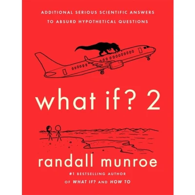 Afbeelding van What If?2