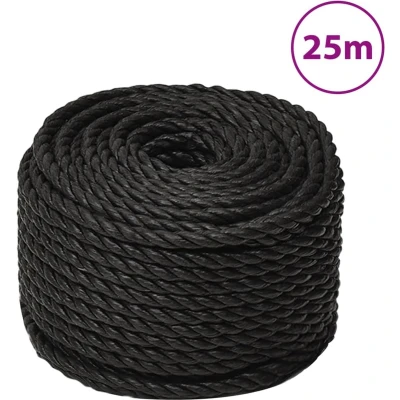 Afbeelding van vidaXL Werktouw 14 mm 25 m polypropeen zwart