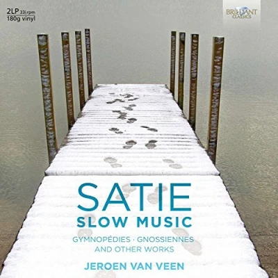 Afbeelding van Jeroen Van Veen Satie: Slow Music (LP)
