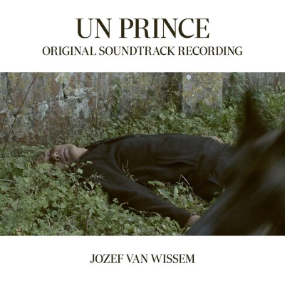 Afbeelding van Jozef Van Wissem Un Prince (LP)