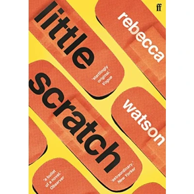 Afbeelding van little scratch