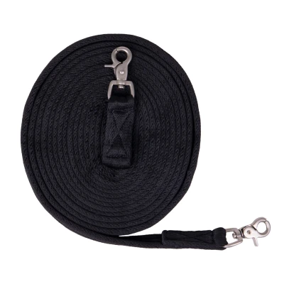 Image de QHP Long rein