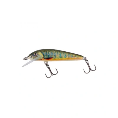 Afbeelding van Salmo Minnow 6cm 4gr Floating 0,5 1m Lake Charr Plug