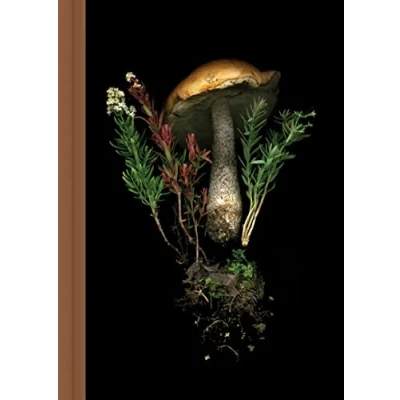 Afbeelding van Deep Dark Forest Mushroom Journal