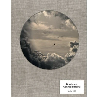 Image de Des Oiseaux Version anglaise