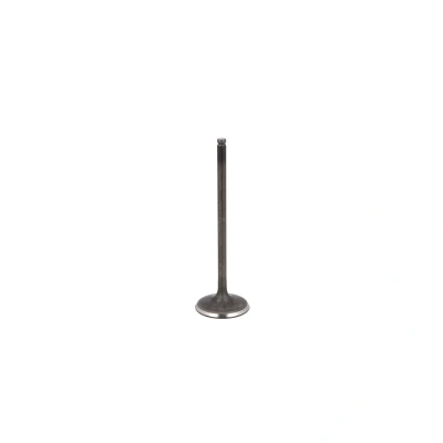 Afbeelding van Inlaatklep FRECCIA R6555/SNT