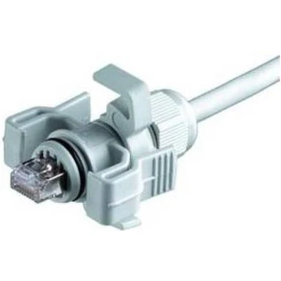 Afbeelding van Telegärtner J00026A0150 RJ45 stekkerset variant 6 Stekker, recht Aantal polen: 8P8C Lichtgrijs 1 stuk(s)