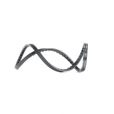 Afbeelding van V riem CONTINENTAL CTAM 11,2X866Ld