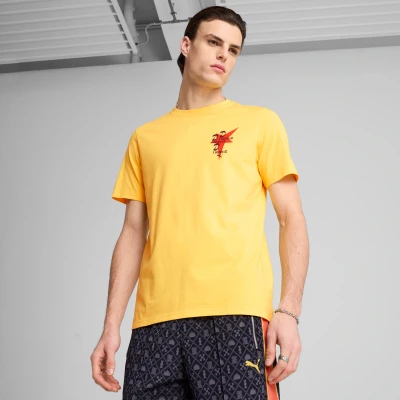 Afbeelding van Puma ROAD TO Unity Graphic Tshirt print, Heren, Maat: Medium, Sunny yellow
