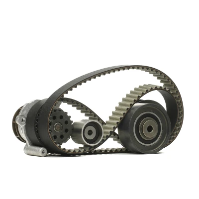 Afbeelding van DOLZ KD047 Waterpomp + Distributieriem Set 141 VOLKSWAGEN: Golf 5, Plus / Crossgolf, Touran I, AUDI: A3 Sportback, Hatchback, A4 B7 Avant
