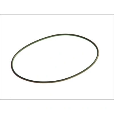 Afbeelding van O ring ELRING 244.848
