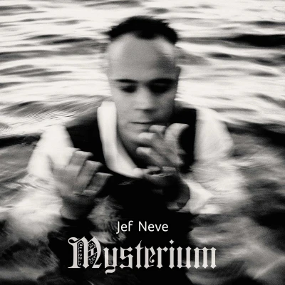 Afbeelding van Jef Neve Mysterium (CD)