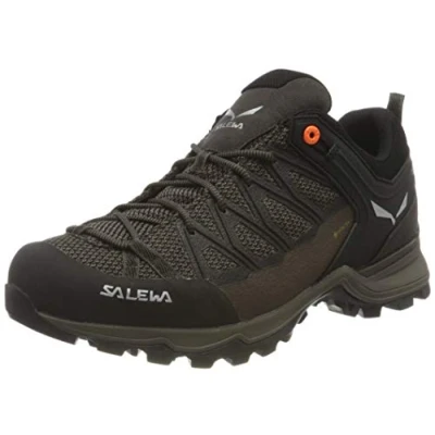Afbeelding van Salewa Heren MS Mountain Trainer Lite Gore TEX Wandelschoenen, Wallnut/Fluo Orange, 44 EU