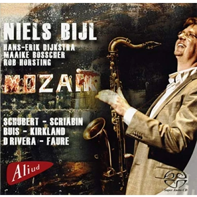 Afbeelding van Niels Bijl Mozaik (CD)