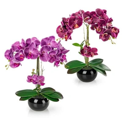 Afbeelding van PASCH® 2 stuks kunstorchideeën in glanzende keramische potten (40 cm) kunstbloemen pot