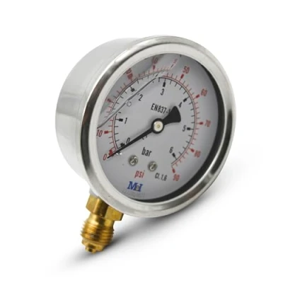 Afbeelding van DOJA Barcelona Waterdrukmeter 0 6 bar 1/4 inch glycerine manometer Ø 63 mm verticale aansluiting waterdrukmeting hydraulische manometer, gasmanometer