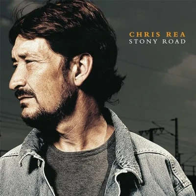 Afbeelding van Chris Rea Stony Road (2 LPs)