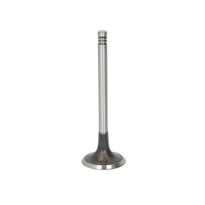 Afbeelding van Ae Inlaatklep V94697