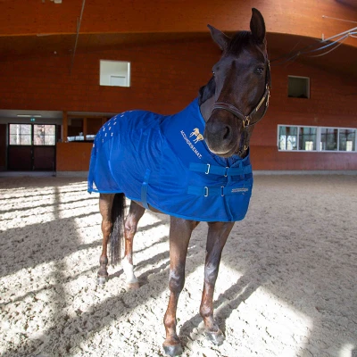 Image de Accuhorsemat Couverture Cooler avec Tapis d&#039;Accupression Bleu M