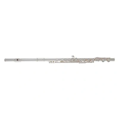 Image de Roy Benson Pro Series Flûte traversière FL 602E