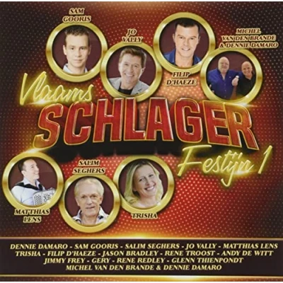 Afbeelding van Various Artists Vlaams Schlagerfestijn Deel 1 (CD)