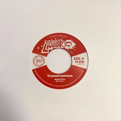 Afbeelding van Transilvanians The Vault Of ... (7&quot; Vinyl Single)