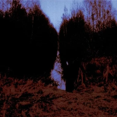 Afbeelding van Opeth My Arms Your Hearse (CD)