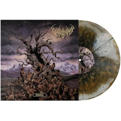 Afbeelding van Vulvodynia Entabeni (LP)