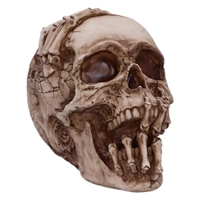 Afbeelding van Nemesis Now Officieel gelicentieerd James Ryman schedel ornament van natuurlijk skelet, 20 cm