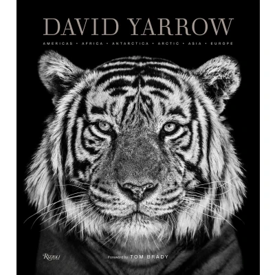 Afbeelding van David Yarrow Photography Americas Africa Antarctica Arctic Asia Europe