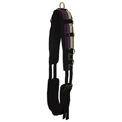 Afbeelding van Imperial Riding Longeersingel Deluxe Nylon Forest Green Full