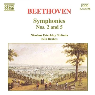 Afbeelding van Nicolaus Esterhazy Sinfonia Symphonies Nos. 2 &amp; 5 (CD)
