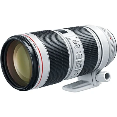 Image de Canon EF 70 200mm f/2.8L III
