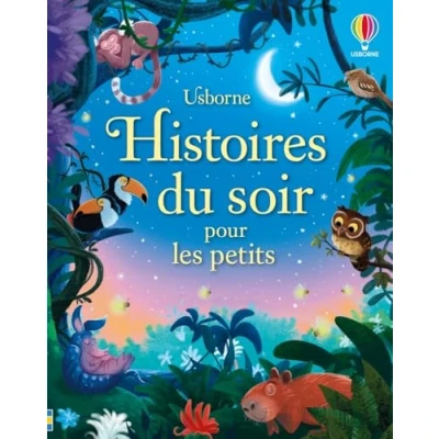 Afbeelding van HISTOIRES DU SOIR POUR LES PETITS