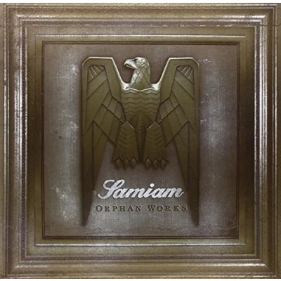 Afbeelding van Samiam Orphan Works (2 LP)