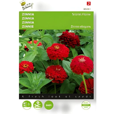 Afbeelding van Zaden zinnia scarlet flame 1 gram Buzzy