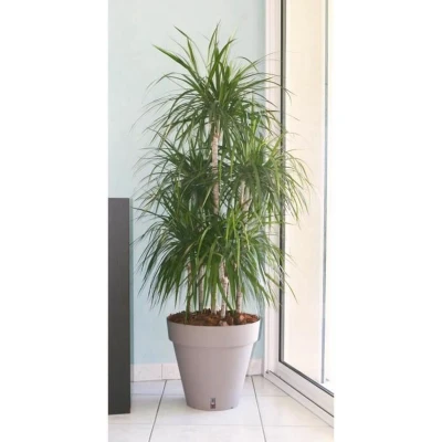 Afbeelding van Bloempot Riviera Bruin Taupe Polypropyleen Plastic Cirkelvormig Klot