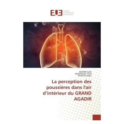 Image de La perception des poussieres dans l&#039;air d&#039;interieur du GRAND AGADIR