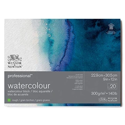 Afbeelding van Winsor and Newton Professioneel Aquarelpapier Rough 100% Katoen rondom verlijmd 20 vel 22.9 x 30.5 cm