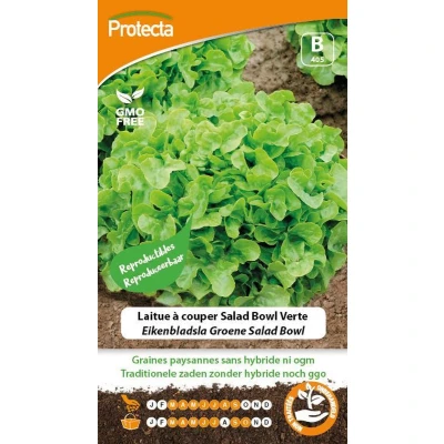 Afbeelding van Protecta Groente Zaden Eikenbladsla Groene Salad Bowl
