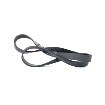 Afbeelding van Poly V riem DAYCO 6PK1130