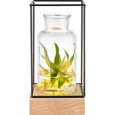 Afbeelding van Gadgy Vaas met LED Verlichting Vaaslamp Decoratie Woonkamer Tafel Glazen Lamp Hydroponie Vase Tafellamp Ø11CM Cadeau voor Vrouw