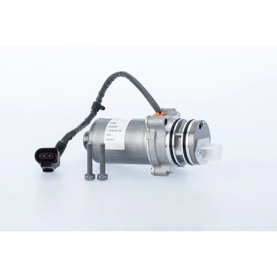 Afbeelding van Pomp, lamellenkoppeling 4 wielaandrijving BorgWarner (AWD) DS2010677