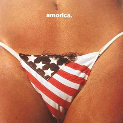 Afbeelding van Black Crowes Amorica