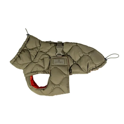 Image de Kentucky Couverture pour Chien Winter Pina 160g Pine Green XS