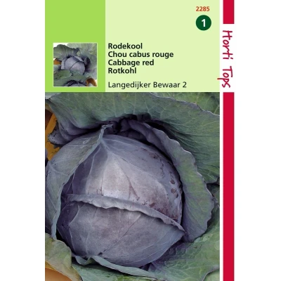 Afbeelding van 2 stuks Hortitops Rodekool Langedijker Bewaar