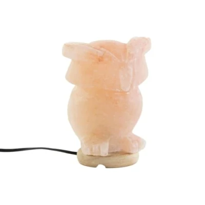 Afbeelding van Bureaulamp DKD Home Decor Roze Zout Acacia 15 W 220 V 14 x 18 cm