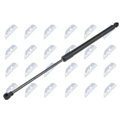 Afbeelding van NTY AE CT 043 Gasveer achterklep 420 444 CITROËN: C3 II